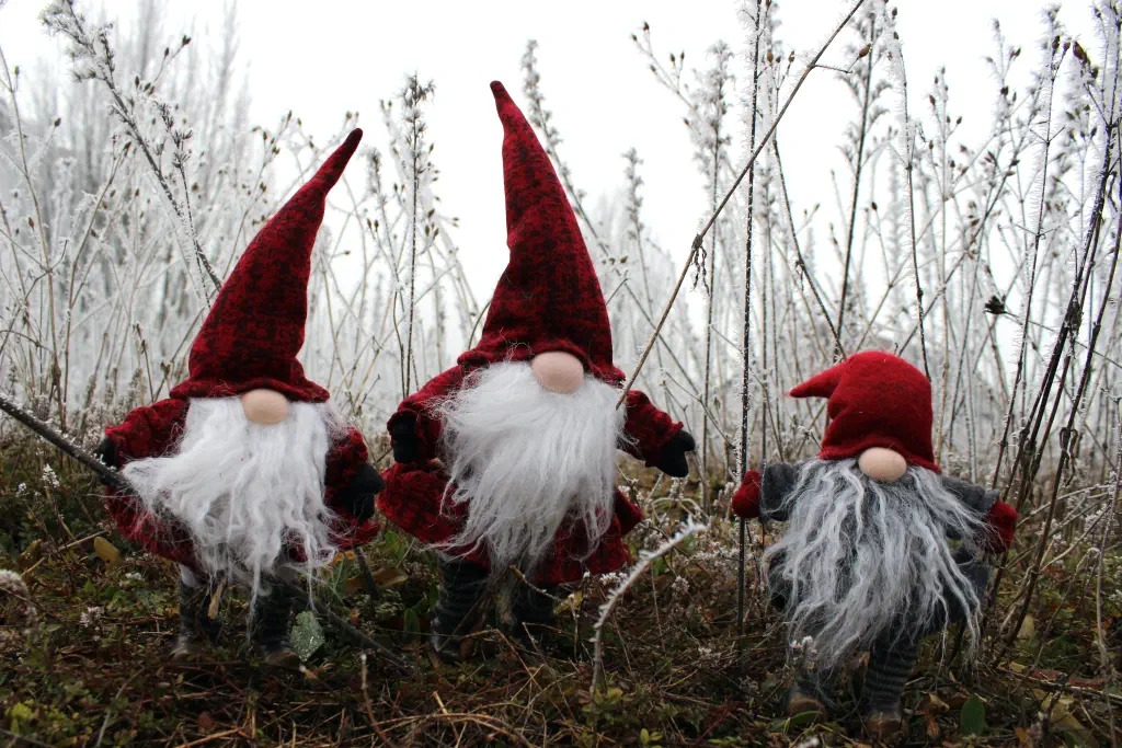 Three gnome figurines in a forest setting with frost-covered plants. Part of como escrever uma carta ao pai natal